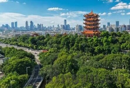 糖心柯德动漫官网-揭秘糖心柯德，动漫爱好者的乐园